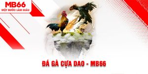 Đá Gà - Trò Cá Cược Siêu Hot Được Săn Đón Tại MB66 - FAKUCI.GAMES