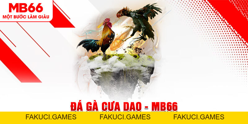 Đá Gà Cựa Dao - Tất Tần Tật Những Điều Anh Em Nên Biết - FAKUCI.GAMES