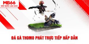 Đá Gà - Trò Cá Cược Siêu Hot Được Săn Đón Tại MB66 - FAKUCI.GAMES