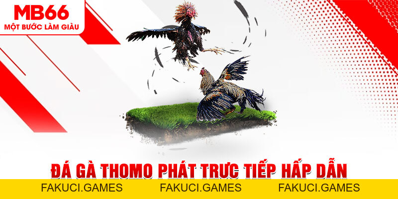 Đá Gà Thomo Phát Trực Tiếp Hấp Dẫn Mỗi Ngày Cùng MB66 - FAKUCI.GAMES