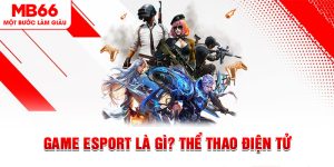 E-sports MB66 - Không Gian Giải Trí Ấn Tượng Thế Hệ Mới - FAKUCI.GAMES