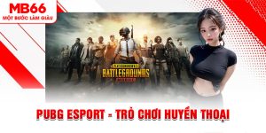 E-sports MB66 - Không Gian Giải Trí Ấn Tượng Thế Hệ Mới - FAKUCI.GAMES