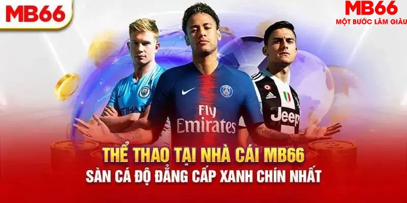 Thể Thao MB66 - Cung Cấp Kèo Đa Dạng, Trả Thưởng Nhanh - FAKUCI.GAMES