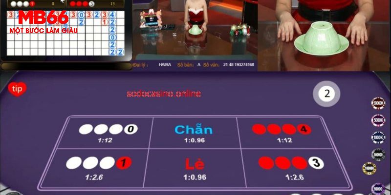 Cách Chơi Xóc Đĩa - Bí Quyết Thắng Lớn Đến Từ MB66 - FAKUCI.GAMES