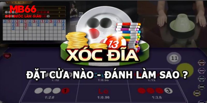 Cách Chơi Xóc Đĩa - Bí Quyết Thắng Lớn Đến Từ MB66 - FAKUCI.GAMES