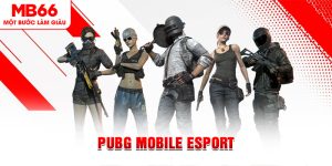 E-sports MB66 - Không Gian Giải Trí Ấn Tượng Thế Hệ Mới - FAKUCI.GAMES