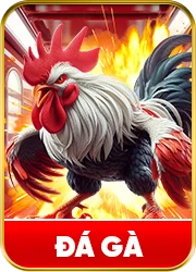 MB66 - MB66.COM | Trang Chủ Chính Thức 2026 - FAKUCI.GAMES
